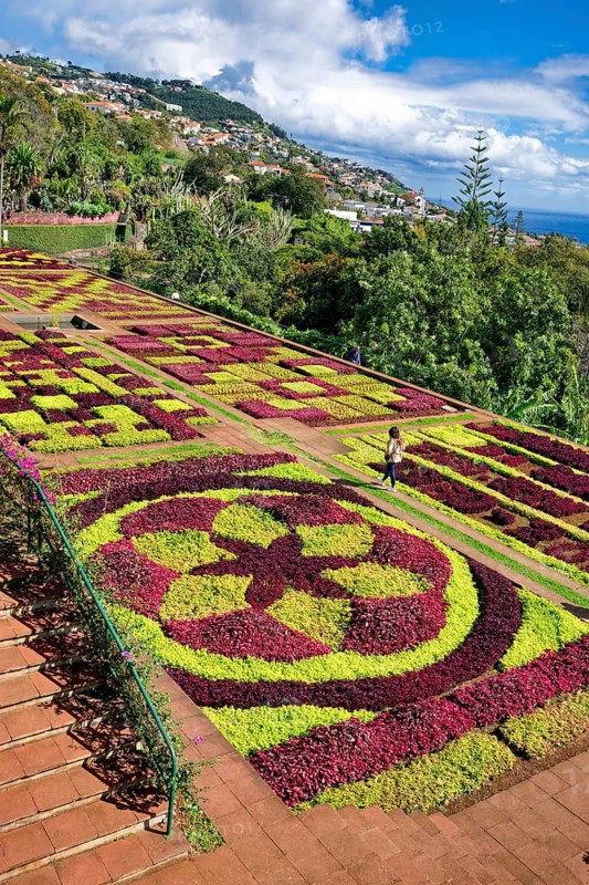 Flowerbeds planted as a pattern, Botanical Garden, Jardim Botanico, Funchal, Madeira, Portugal