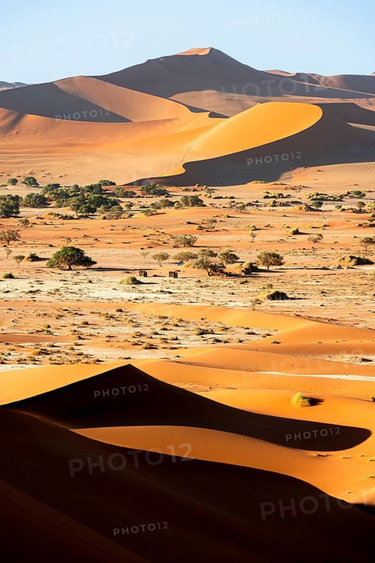 Red sand dunes, Sossusvlei region, Namib Desert, Namib-Naukluft National Park, Namibia