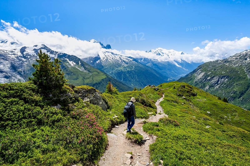 Mountaineers on hiking trail, mountain panorama with glaciated mountain peaks, Aiguille du Midi and Mont Blanc, hiking to Aiguillette des Posettes, Chamonix, Haute-Savoie, France
