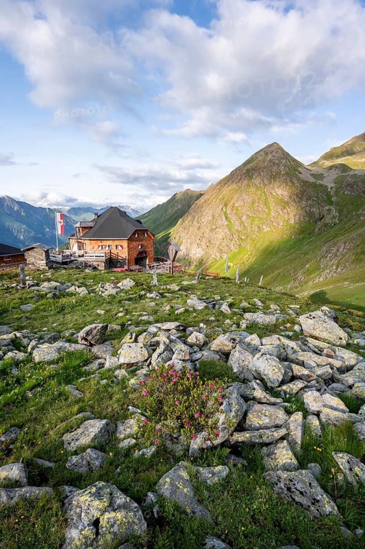 Mountain hut Lasörlinghütte in the evening light, mountain landscape with alpine roses, Lasörlinggruppe, Hohe Tauern, East Tyrol, Tyrol, Austria