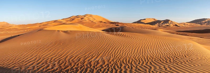 Sand dunes in the Rhub al Khali desert, empty quarter, largest sandy desert in the world, Oman