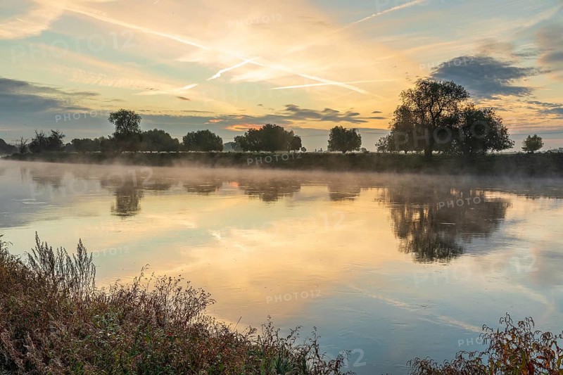 Morning with fog on the Elbe at sunrise, Radebeul, Saxony, Germany