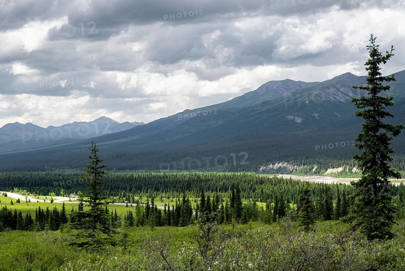 Taiga and tundra, mountain landscape of the Alaska Range with dramatic cloudy sky, Denali National Park, Alaska, USA