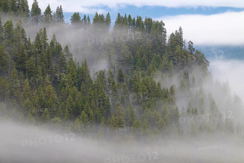 Foggy weather in the mountains, Alvdal Vestfjell, Hedmark, Innlandet, Norway, November 2025