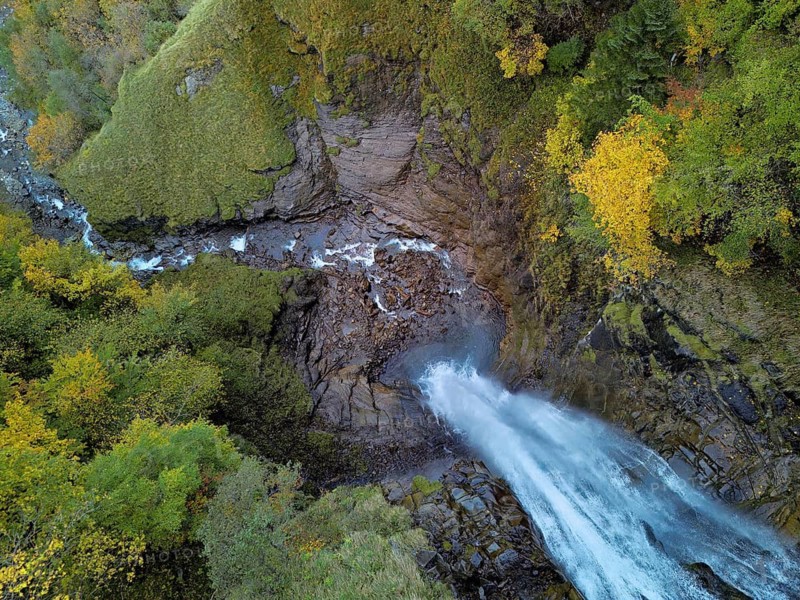 Autumn-coloured sycamore maple (Acer pseudo plantanus), at the Diesbach waterfall, Canton Glarus, Switzerland