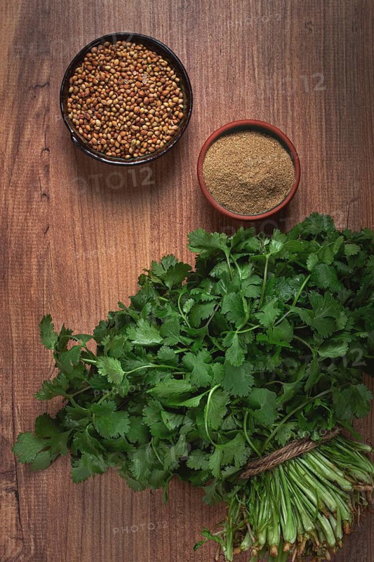 A bunch of fresh cilantro, coriander seeds and powder bowls, close-up, top view, no people, food and drinks
