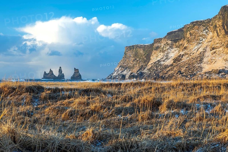 Reynisdrangar needles, rotten grass, rock, waves, sea, clouds, winter, Vik, Iceland, Scandinavia