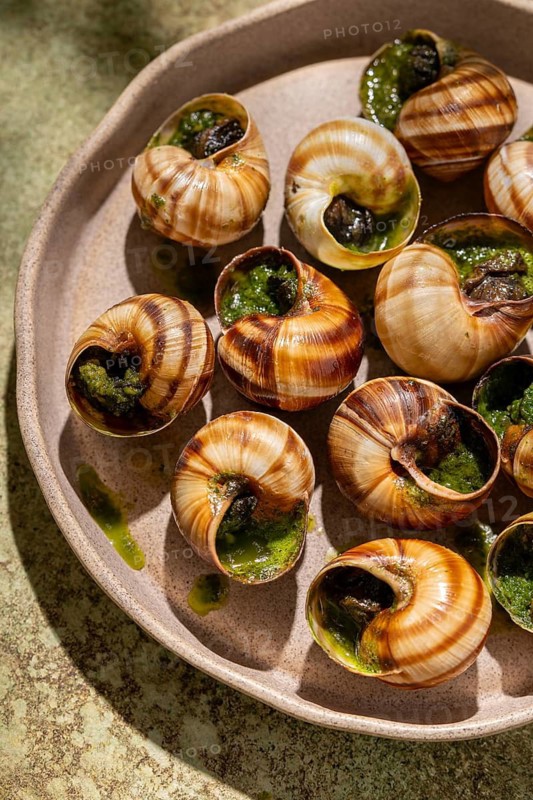 From above a delectable dish of baked escargots, generously topped with melted butter and fresh parsley, served in their natural shells on a ceramic plate