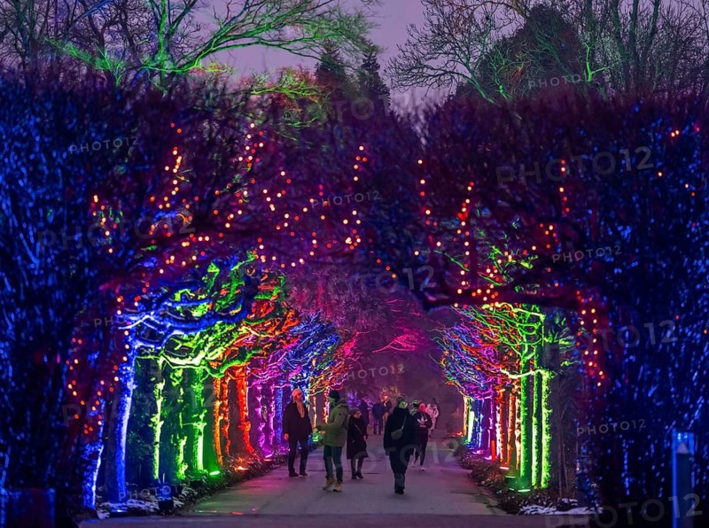 Park lights, events in winter, in the Grugapark in Essen, many different light installations, across the park, attract many thousands of visitors, North Rhine-Westphalia, Germany