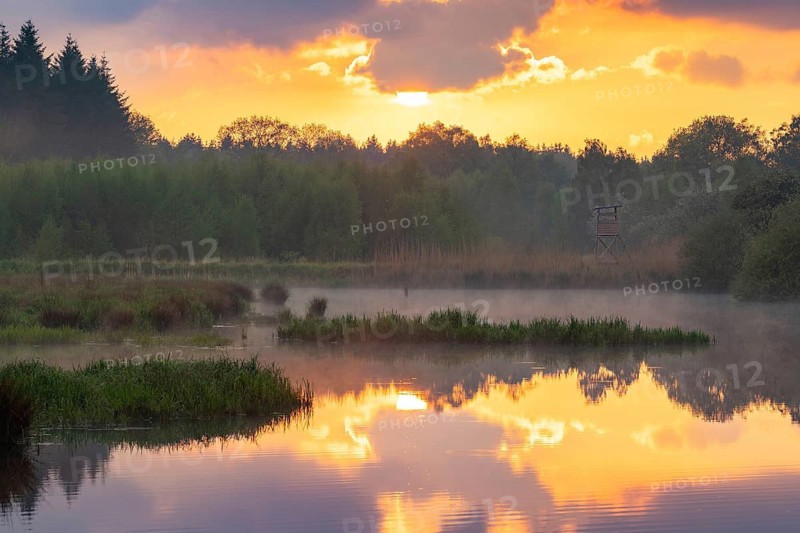 Sunset at Ahlhorn fish ponds, Ahlhorn, Lower Saxony, Germany