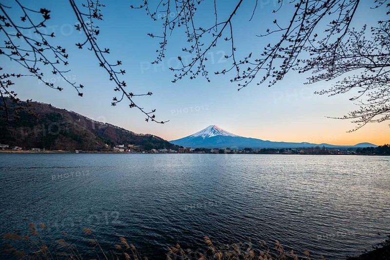 Lake Kawaguchi, view of Mount Fuji volcano at sunset, Yamanashi Prefecture, Japan
