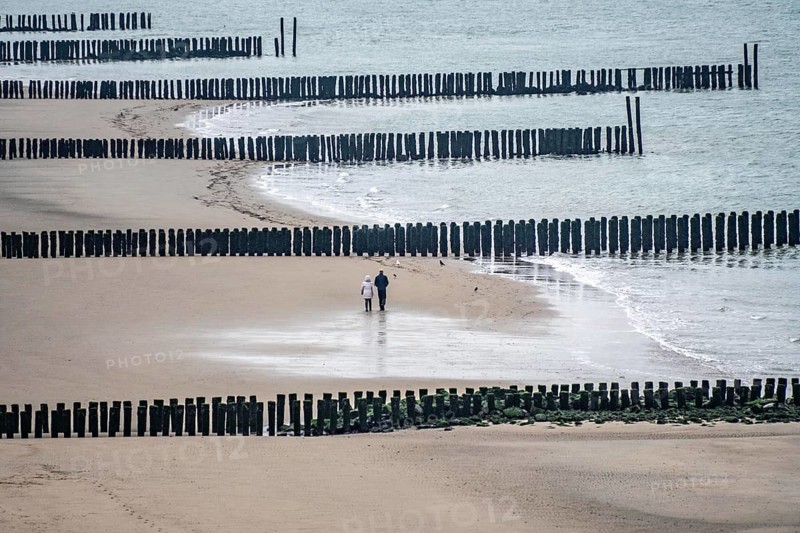 Coastal protection, through wooden posts, paalhoofden, on the beach, breakwater, the piles, some of which are rammed into the sandy soil in double rows, slow down the waves and ocean currents and thus slow down the flow rate of seawater, so less sand is washed away from the stand, near Westkapelle, Walcheren peninsula in the Dutch province of Zeeland