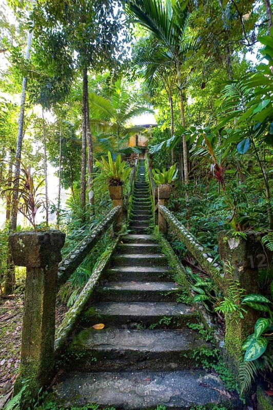 Overgrown mossy, dilapidated staircase, path, steps, Paronella Park, Innisfail, Queensland, Australia