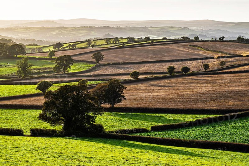 Colours of Devon Farms and Fields over Paignton and Berry Pomeroy, Totnes, England, United Kingdom
