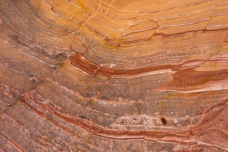Close-up image of sandstone showcasing intricate layers with earthy tones. The abstract patterns form a natural art piece, ideal for backgrounds and artistic use