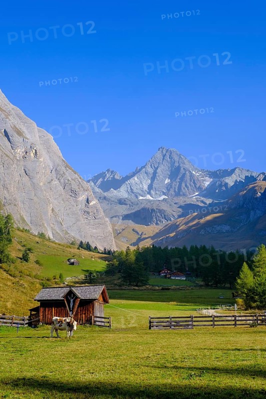 Huteralmen with Großglockner, Hohe Tauern, Ködnitztal, Kals am Großglockner, East Tyrol, Austria