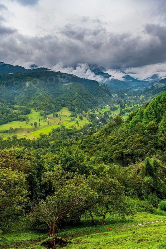 Overlook over the Valle de Cocora, Unesco site coffee cultural landscape, Salento, Colombia