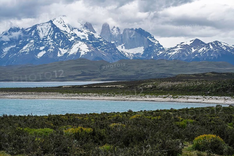 Snow-covered Cordillera del Paine massif with Torres del Paine granite towers, turquoise Lake Sarmiento in front of it and steppe vegetation with blooming shrubs, Torres del Paine National Park, Magallanes region, Chile