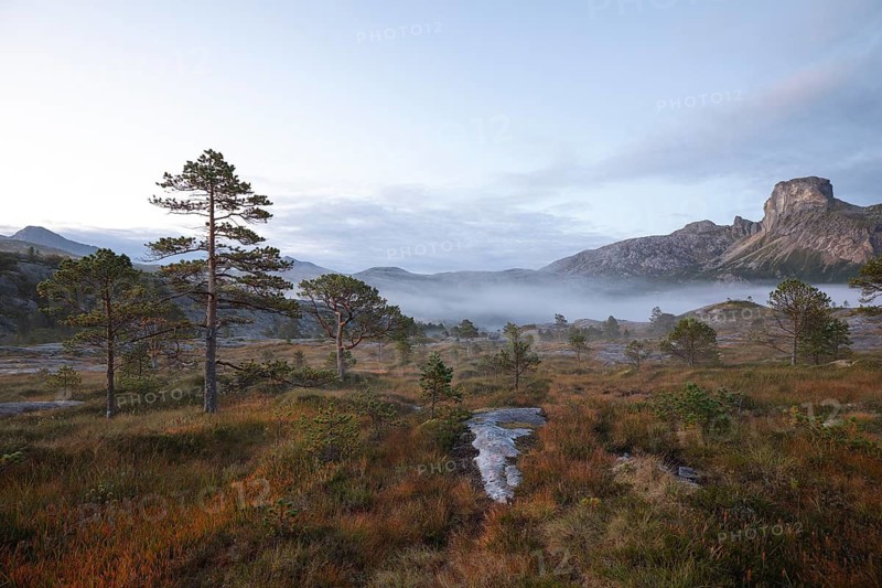 Magical morning fog on Steigtindvatnet in front of the majestic Steigtinden in Norway near Bodø