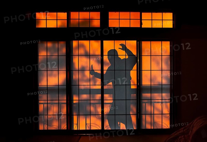 Shadow of a man, burglar with knife, assassin, ninja, on the balcony behind sliding shoji doors in a traditional Japanese house, Yamanouchi, Nagano, Japan