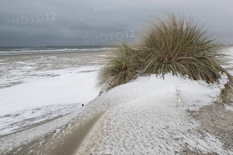 Snow-covered dunes on the North Sea, Langeoog, Lower Saxony, Germany