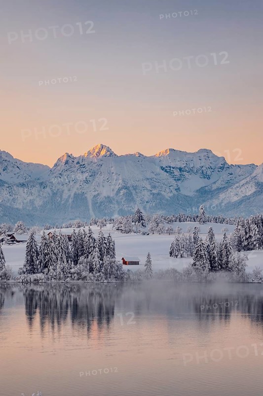 Dawn and sunrise at the wintry Forggensee in a snow-covered winter landscape in the foothills of the Alps in the Allgäu in Bavaria, Germany