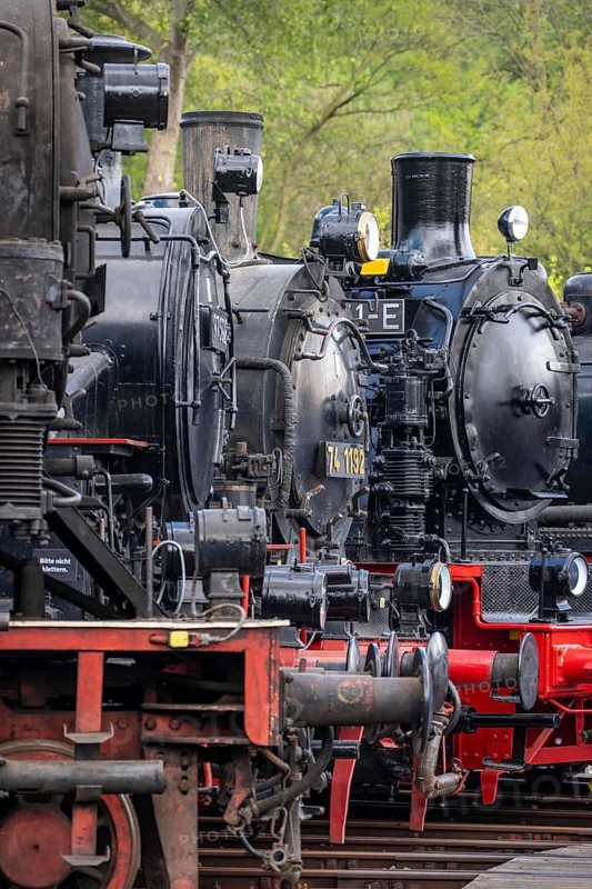 Ring locomotive shed with many historic steam locomotives in the Bochum Railway Museum, museum days weekend, with many attractions such as steam locomotive rides, 3 locomotives are under steam, historic trains make round trips through the Ruhr Valley, many locomotives are on display, on the site of the former Dahlhausen railway depot, North Rhine-Westphalia, Germany