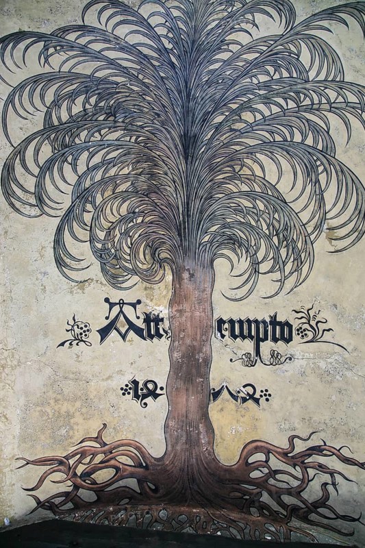 Painting in the archway, tree, trunk, roots, tree crown, pictorial representation lettering Attempto, letters, Urach Residential Palace, late medieval castle, birthplace of Count Eberhard Bart, first Duke of Württemberg, aristocratic residence, historic building, art, Bad Urach, Baden-Württemberg, Germany