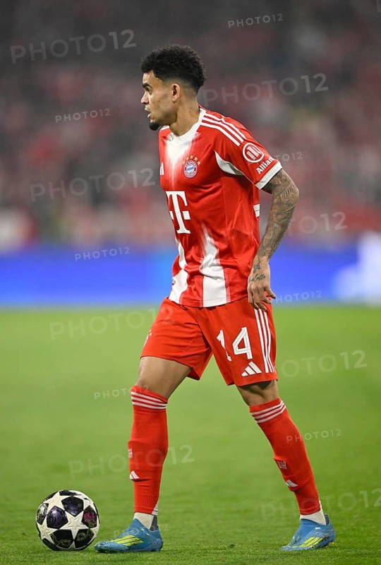 Luis Diaz FC Bayern Munich FCB (14) Action on the ball Football UEFA Champions League CL Allianz Arena, Munich, Bavaria, Germany