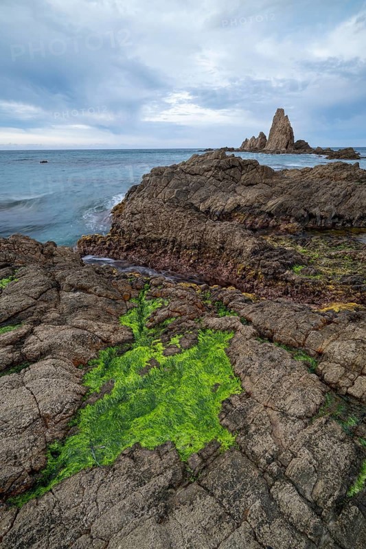 Rocky coast, Cabo de Gata-Nijar Natural Park, Almeria, Andalusia, Spain