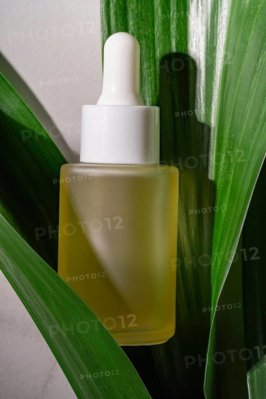 A frosted glass bottle of serum displayed amidst vibrant green leaves emphasizes the essence of natural skincare and organic beauty products