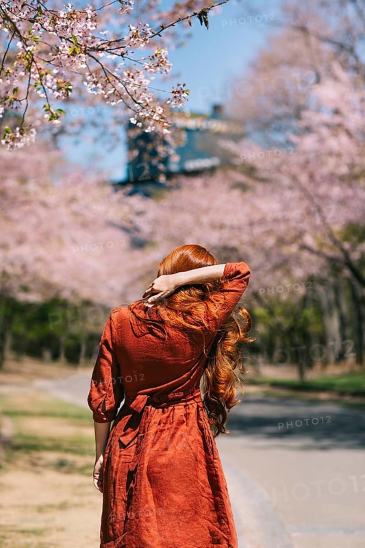 A woman in a red dress admires the breathtaking cherry blossoms during sakura season in Japan. Pink petals adorn the trees, creating a picturesque spring scene
