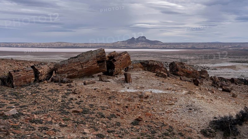 Petrified tree trunk fragmented in desert landscape, view of mountain cones in the background, Bosques Petrificados de Jaramillo natural monument, Santa Cruz province, Patagonia, Argentina