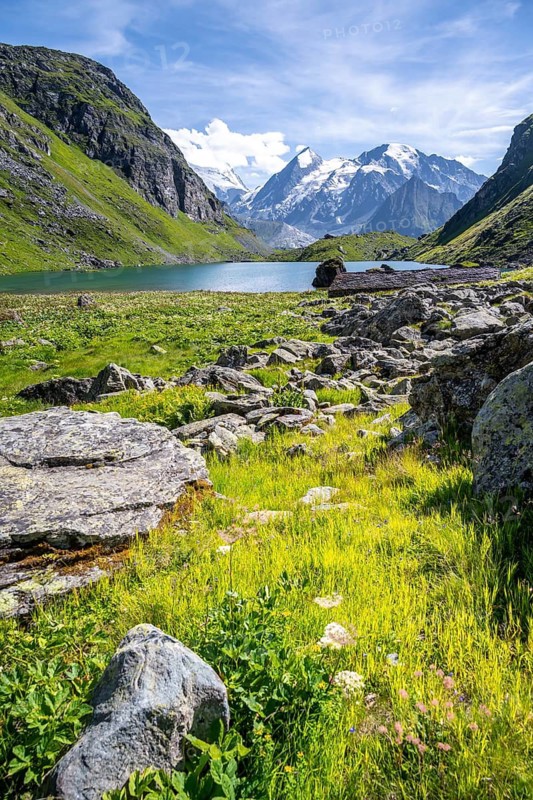 Mountain lake Lac de Louvie with glaciated summit of the Grand Combin, Val de Bagnes, Valais, Switzerland