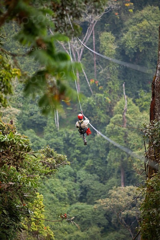 National Park employee with red helmet hangs on zipline in mountain rain forest, Nyungwe National Park, UNESCO World Heritage, Rwanda