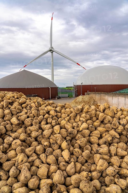 Biogas plant produces gas from various biomass, here the sugar beet storage, the electricity is produced in combined heat and power plants with the biogas produced and sold to companies in the neighbouring industrial estate, the heat generated is fed into a local heating network, gas storage and wind power plant, Ense, North Rhine-Westphalia, Germany