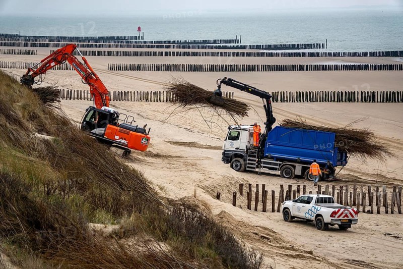 Coastal protection, work on strengthening the dunes with brushwood fences, which are attached to the sand dunes with wooden posts, erosion caused by wind and water is thus slowed down, sand collects on the fine branches and thus strengthens the dune, near Westkapelle, Walcheren Peninsula in the Dutch province of Zeeland