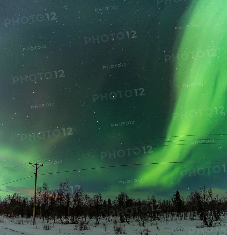 Brilliant green Aurora Borealis illuminates the night sky above a snowy landscape in Kiruna, Sweden, featuring a stark silhouette of telegraph poles