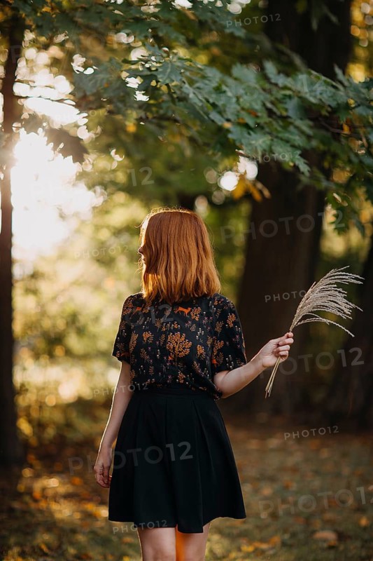 A woman stands amidst the vibrant autumn foliage of a Quebec forest, bathed in the warm glow of the setting sun, capturing the peaceful essence of a Canadian fall day
