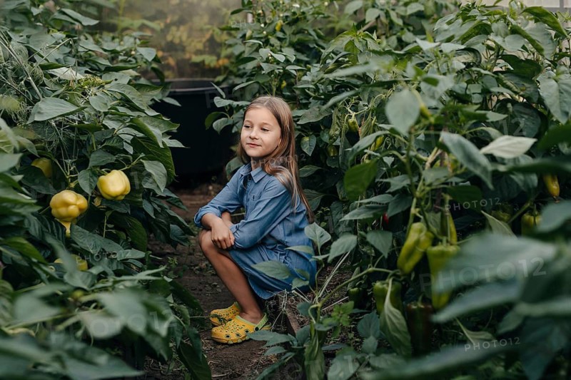 A young girl wearing a denim dress and yellow shoes kneels among green pepper plants. She appears curious and content, enjoying her time in the lush, vibrant greenhouse