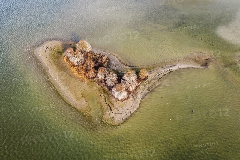 Aerial view, top-down view of an island in a shallow water zone in Lake Constance, Radolfzell, Konstanz district, Baden-Württemberg, Germany