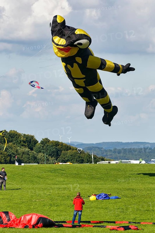 Kites, Salamander flies in the sky, kite festival in Vinsebeck, Steinheim, Eggegebirge and southern Teutoburg Forest nature park Park, Weserbergland, North Rhine-Westphalia, Germany