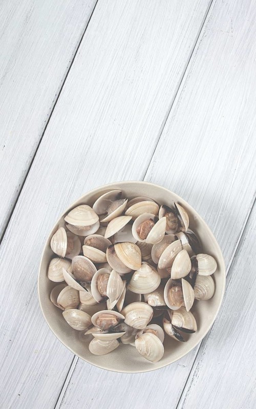 Freshly frozen vongole clams, on a light plate, top view, no people