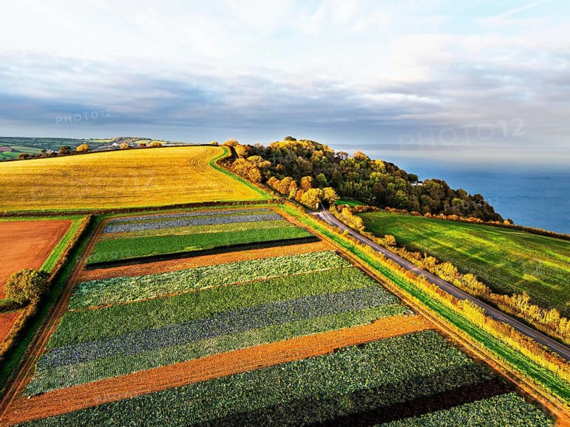 Colours of autumn Fields and Farms over Sheldon from a drone, Torbay, Devon, England, United Kingdom