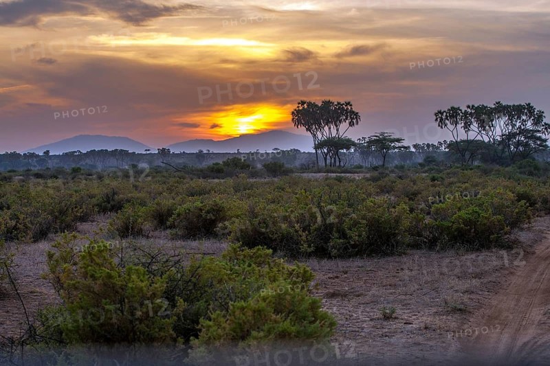 Sunrise in Samburu National Park, Rift Valley, Kenya, Samburu National Park, Kenya