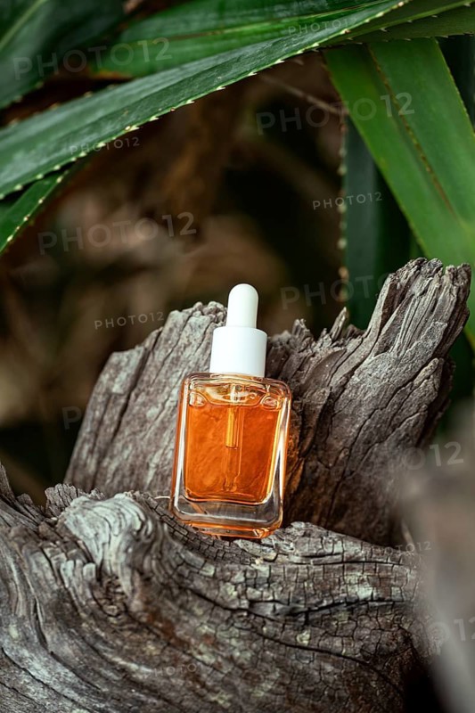 A bottle of golden Vitamin C serum for facial care sits perched on a gnarled tree trunk, surrounded by lush green leaves, blending nature with skincare