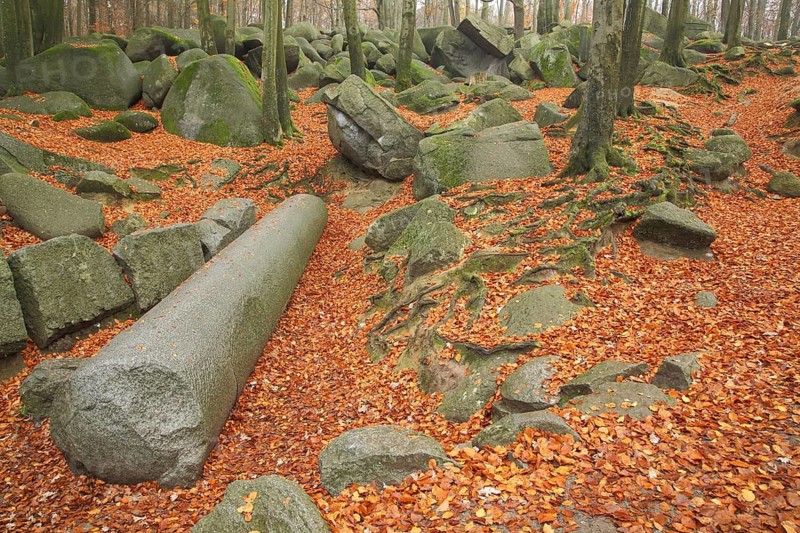 Reclining Roman giant column, long round column, rocks, stones, forest, nature photography, rocky sea, Odenwald, Hesse, Germany