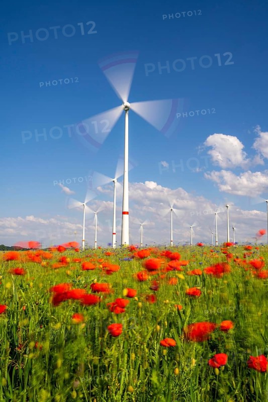 Wind farm, field with flower strips, insect-friendly border of fields with mixed flowers, poppies, north of Marsberg, Hochsauerlandkreis, North Rhine-Westphalia, Germany