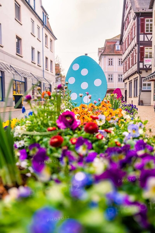 Vivid flowers in front of a blue Easter egg in a historic urban setting with half-timbered houses, Nagold, Calw district, Germany