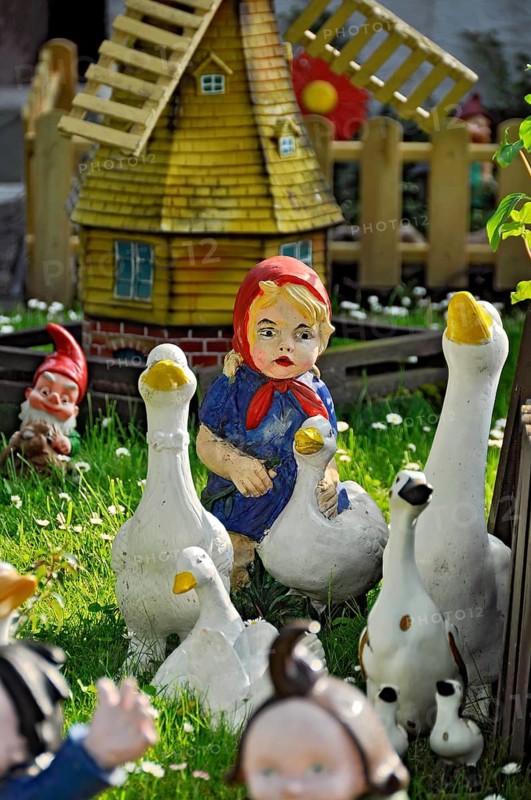 Garden gnomes from the fairy tale The Goose Maid with Geese, in a front garden on a flower meadow with daisies in spring, Büdingen, Hesse, Germany
